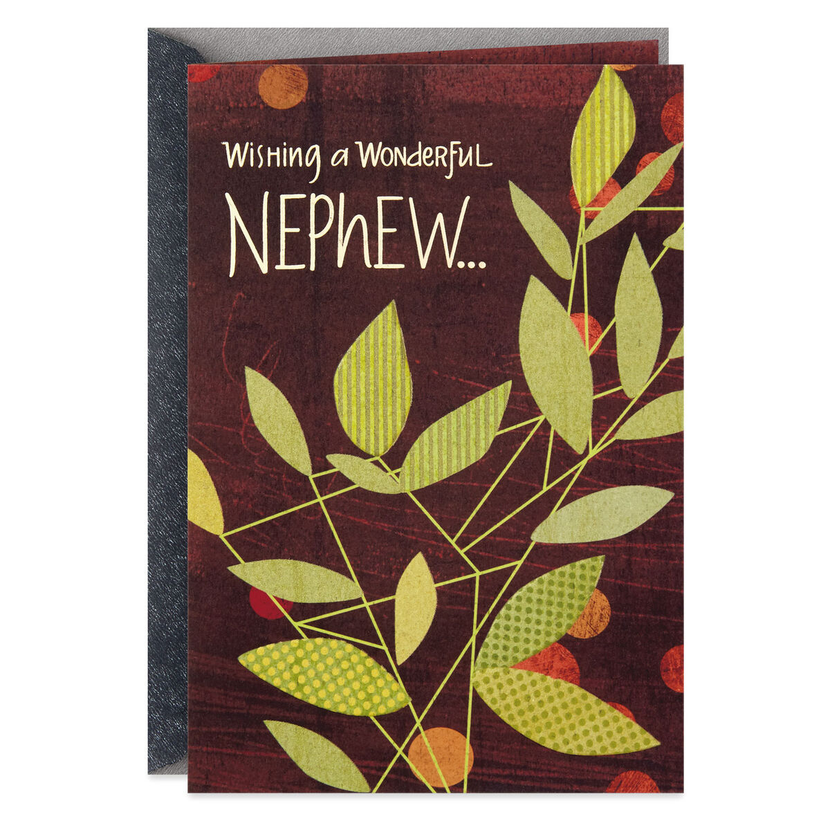 You're Wonderful Birthday Card for Nephew - Greeting Cards - Hallmark