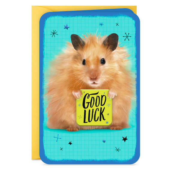 3.25" Mini Hamster With Sign Good Luck Card, , large image number 3