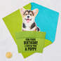 Puppy in a Pot Funny Pop-Up Birthday Card, , large image number 5