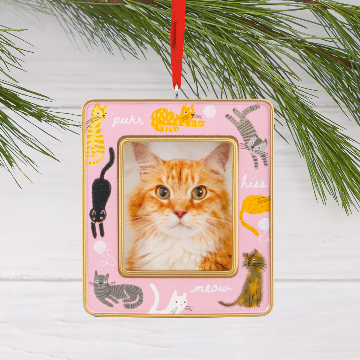 Cats on Pink Photo Frame Christmas Ornament hanging on tree image number 2