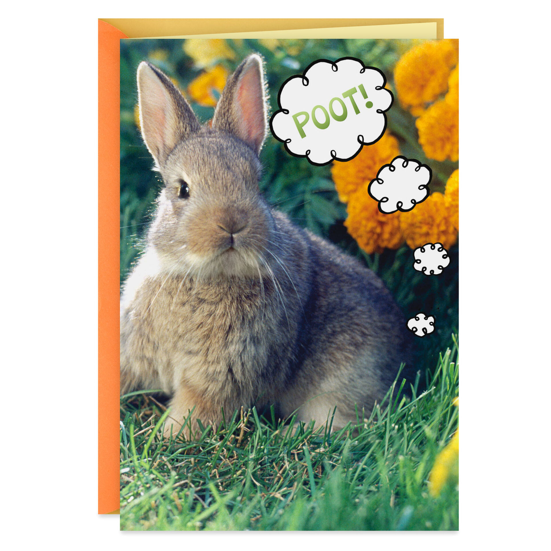 Bunny Farts Funny Easter Card Greeting Cards Hallmark