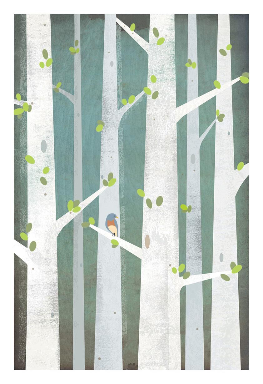 Birch Trees With Bird Sympathy Card