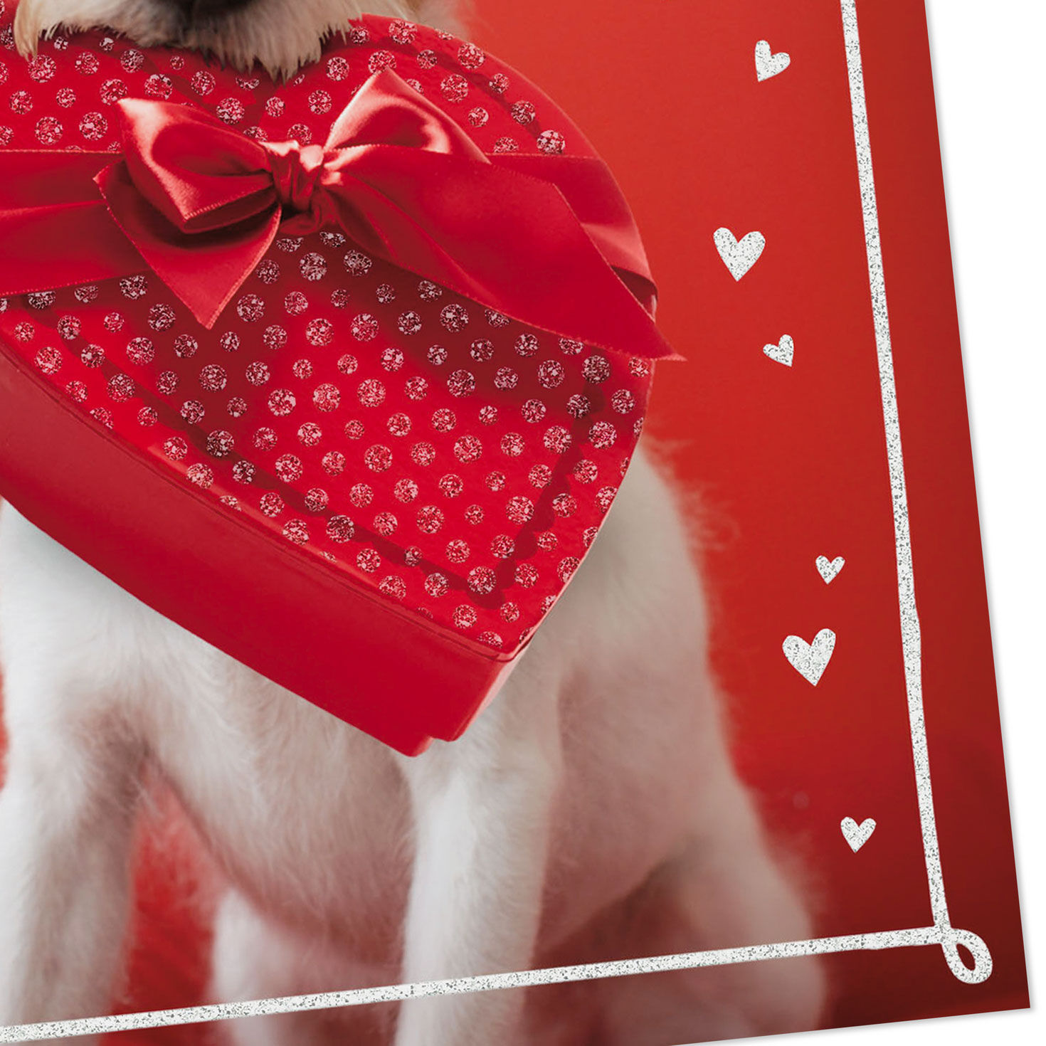Puppy Dog with Red Candy Box Valentine's Day Card Pack Card Front Detail image number 5
