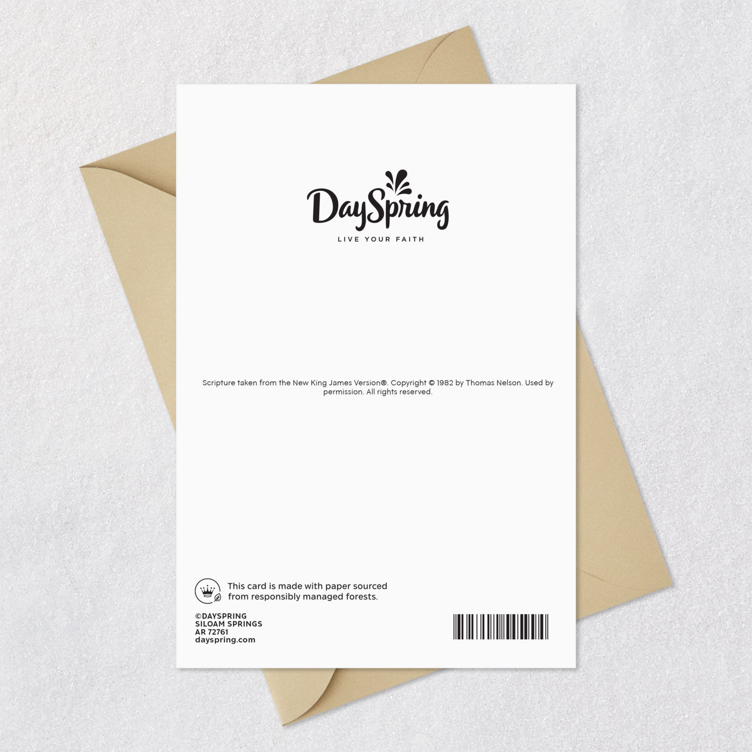 Blue and Copper Leaves Religious Father's Day Card Card Back with Envelope image number 8