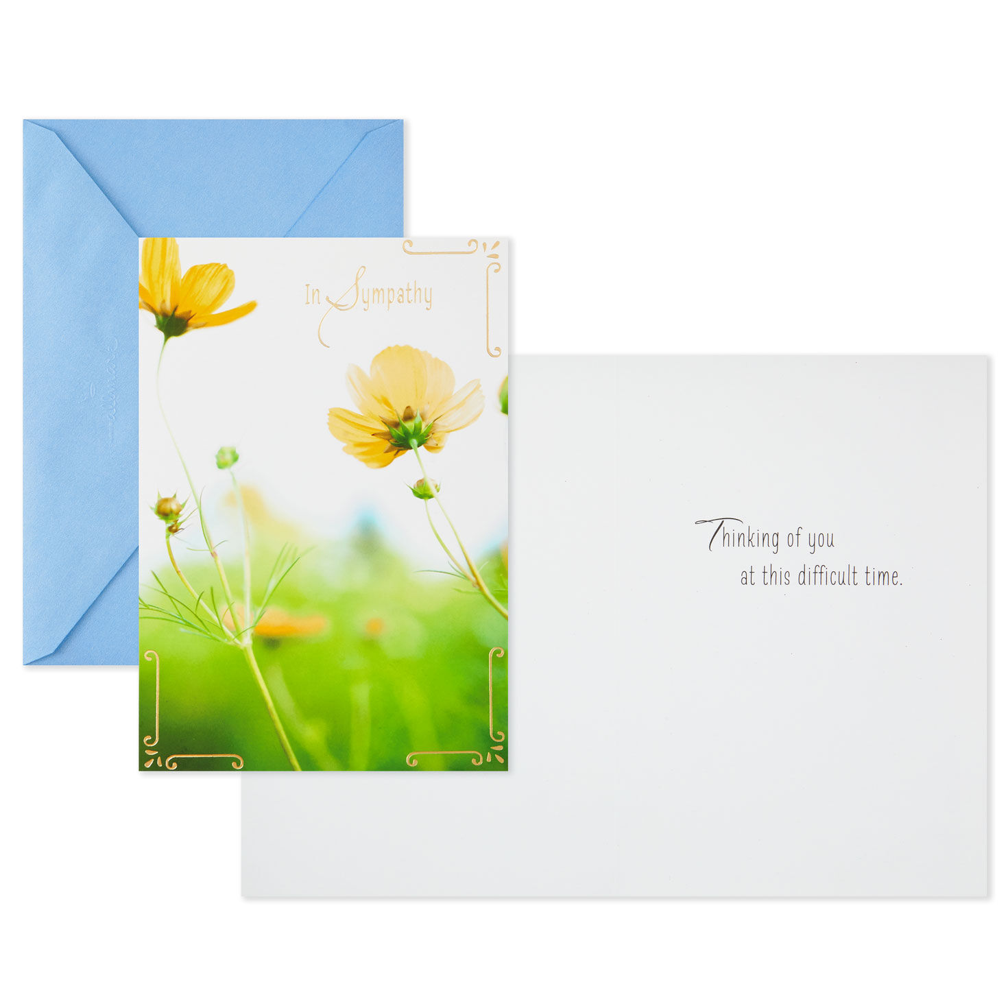 Nature Scenes Assorted Support and Sympathy Cards, Pack of 8, , large image number 3