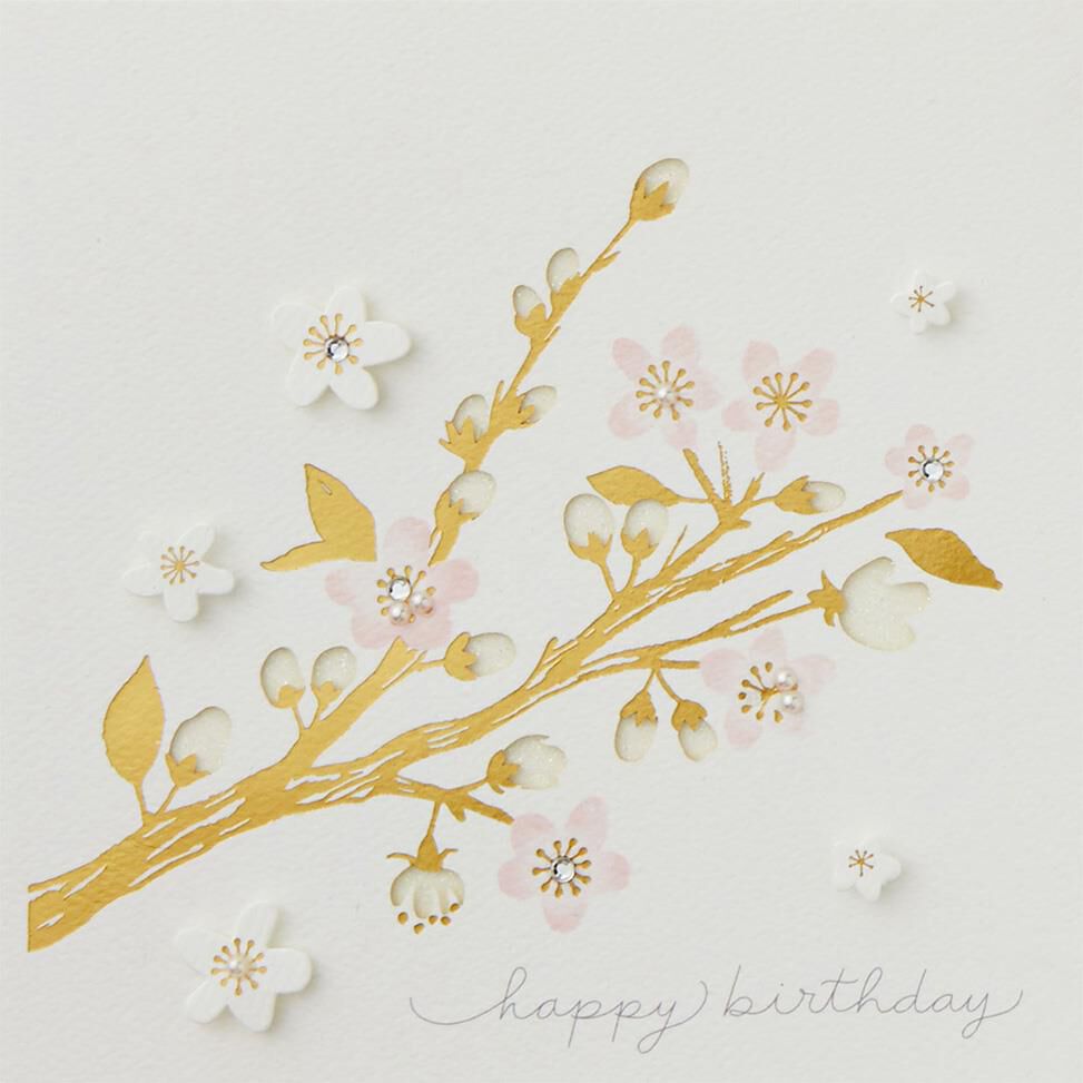 Happy Year Ahead Birthday Card
