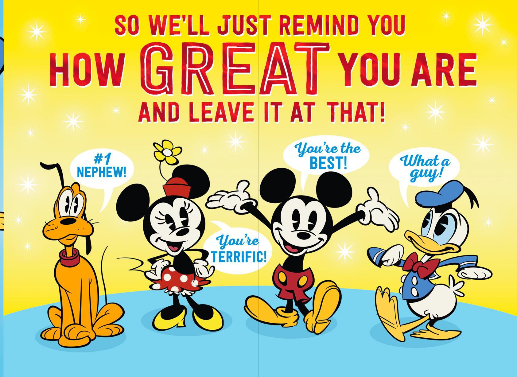 Disney Donald Duck You're Great, Nephew Birthday Card