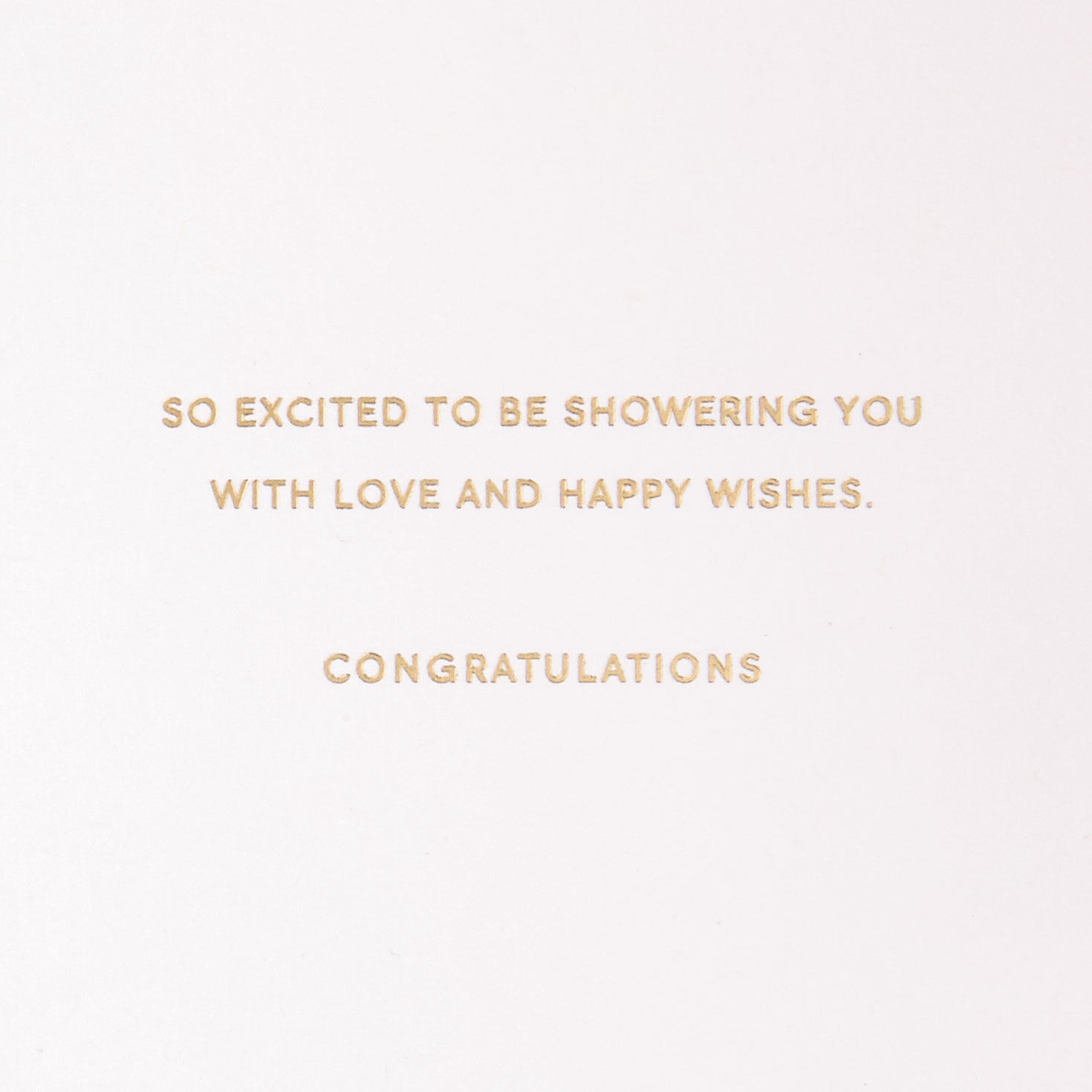 Floral Umbrella Wedding Shower Card sentiment image number 2