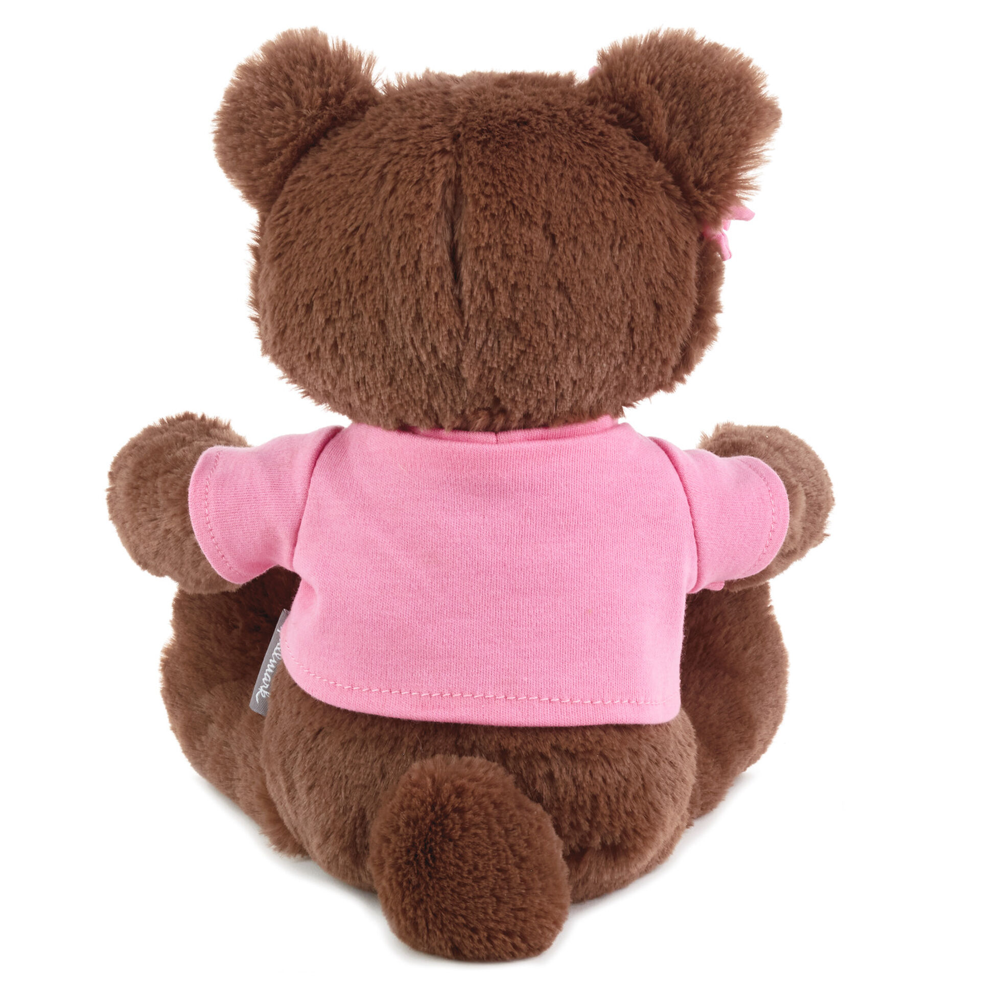 big sister teddy bear gift