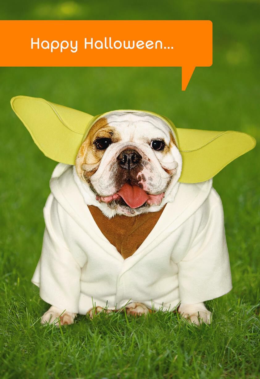 Star Wars™ Yoda™ Dog Halloween Card