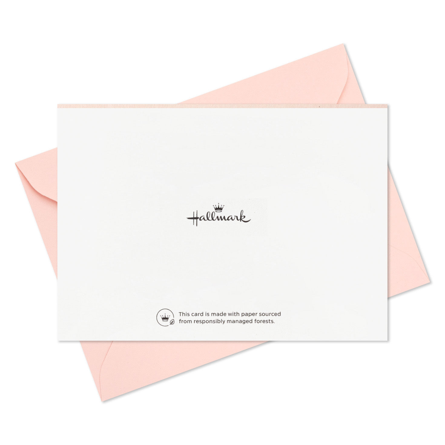 Tropics Scenes Blank Note Cards in Caddy Card Back with Envelope image number 5