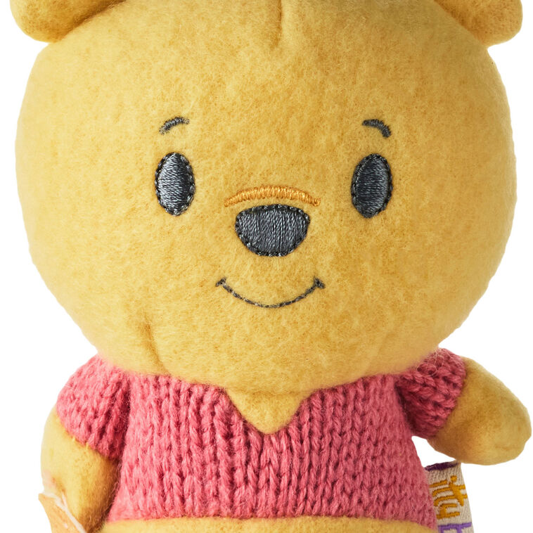 Disney Winnie the Pooh itty bittys Plush upclose detail image number 5