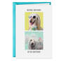 An Extra Day to Recover Funny Birthday Card, , large image number 1
