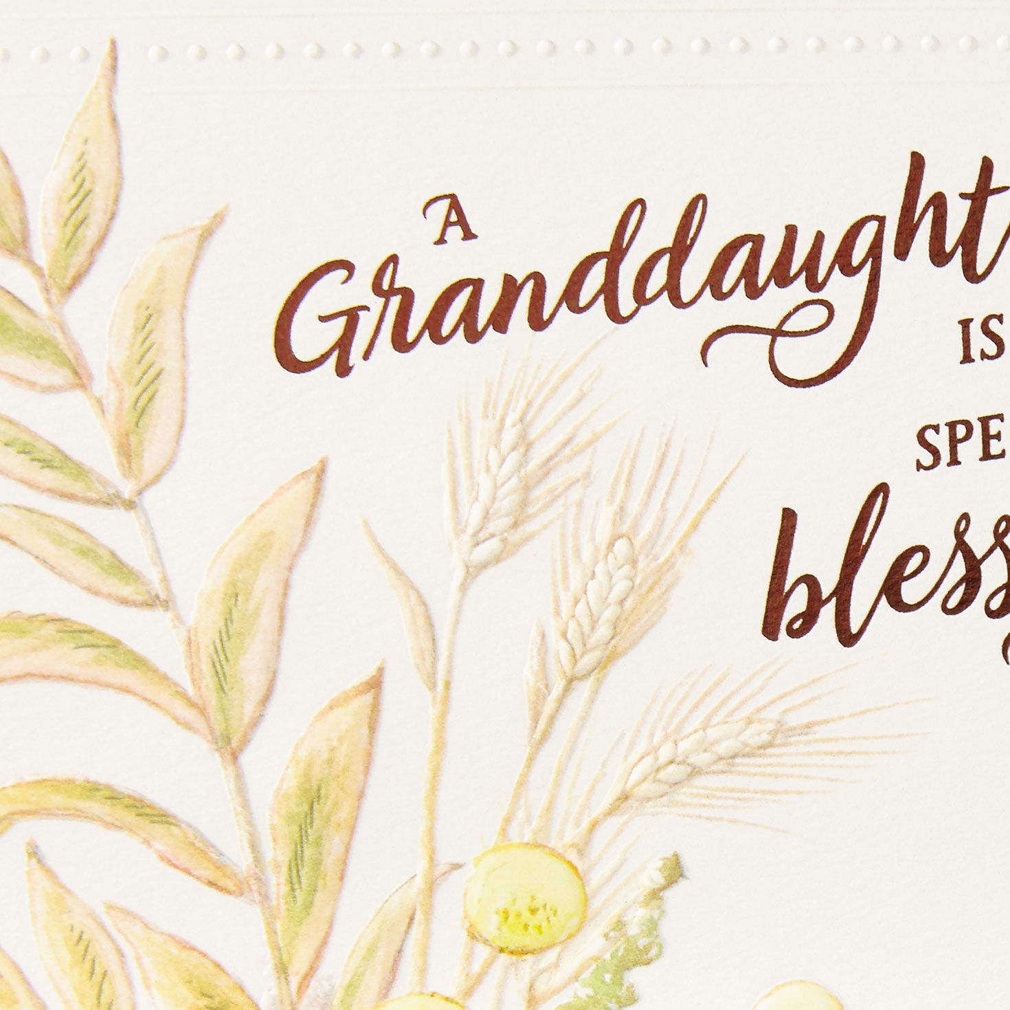Pumpkin in a Field Thanksgiving Card for Granddaughter for only USD 3.99 | Hallmark