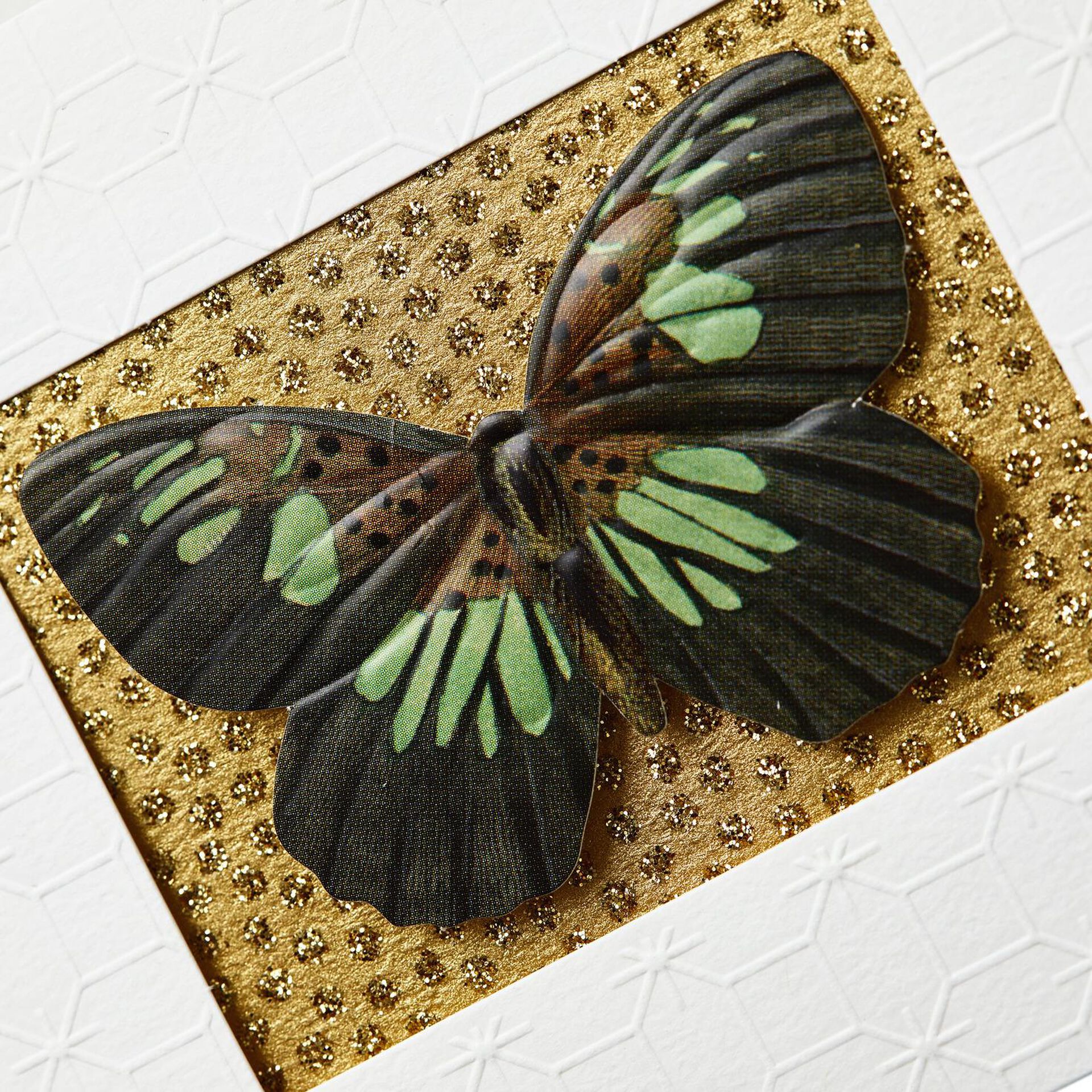 Butterfly on Embossed Blank Note Cards, Box of 8 - Note Cards - Hallmark