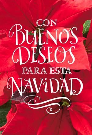 Buenos Deseos en Navidad, Pack of 6
