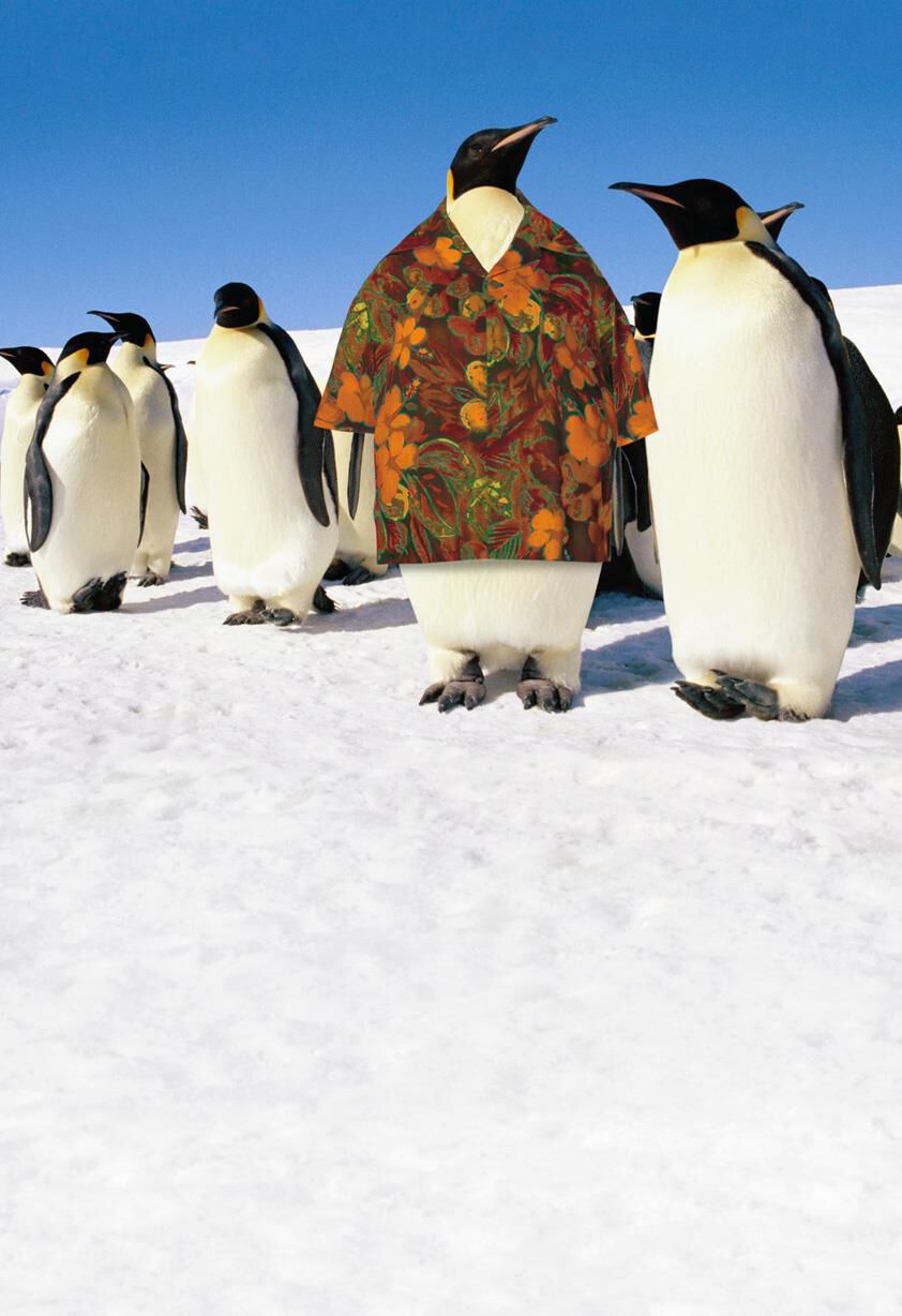 Hawaiian Shirt Penguin Father's Day Card
