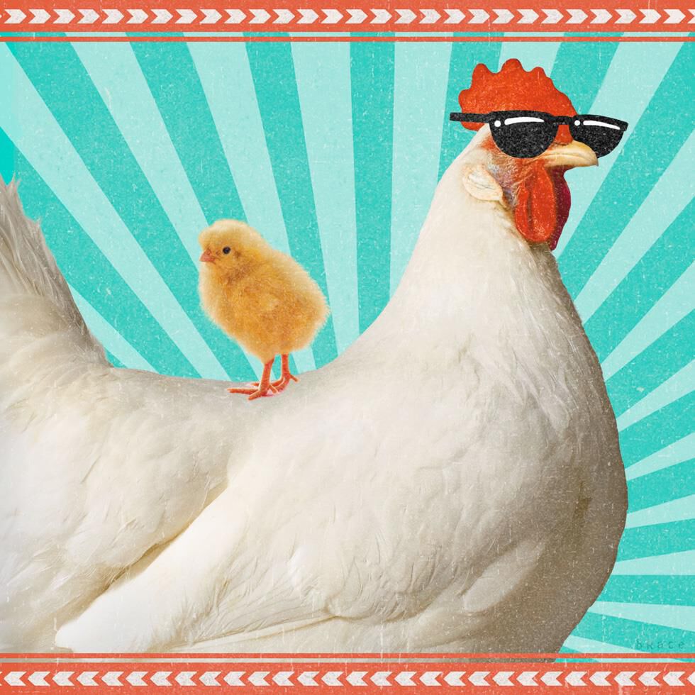 Awesome Chickens Funny Musical Father's Day Card