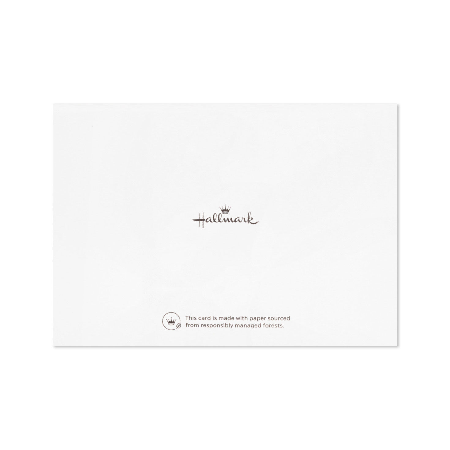 Gold Foil Leaf Frame Single-Panel Note Cards Pack  image number 5