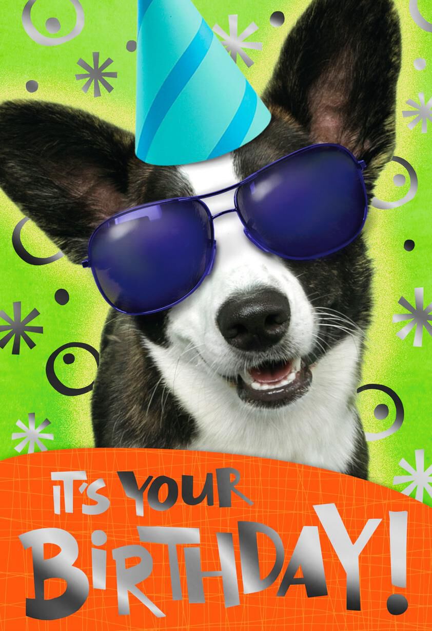 It's Your Day Birthday Cards, Pack of 10