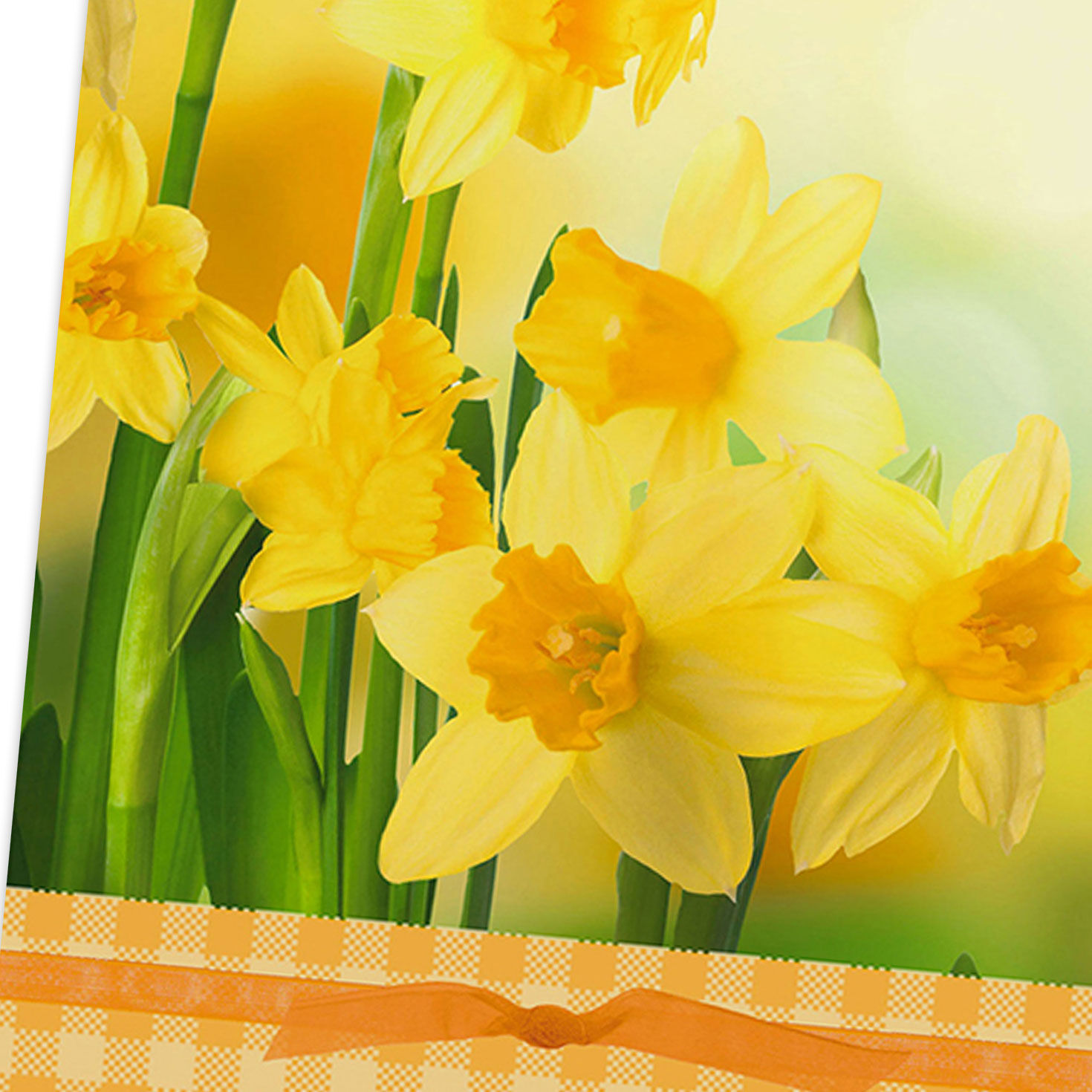 Floral Designs Christian Easter Cards Assortment  image number 5