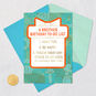 Have Fun and Relax Today Birthday Card for Brother, , large image number 5