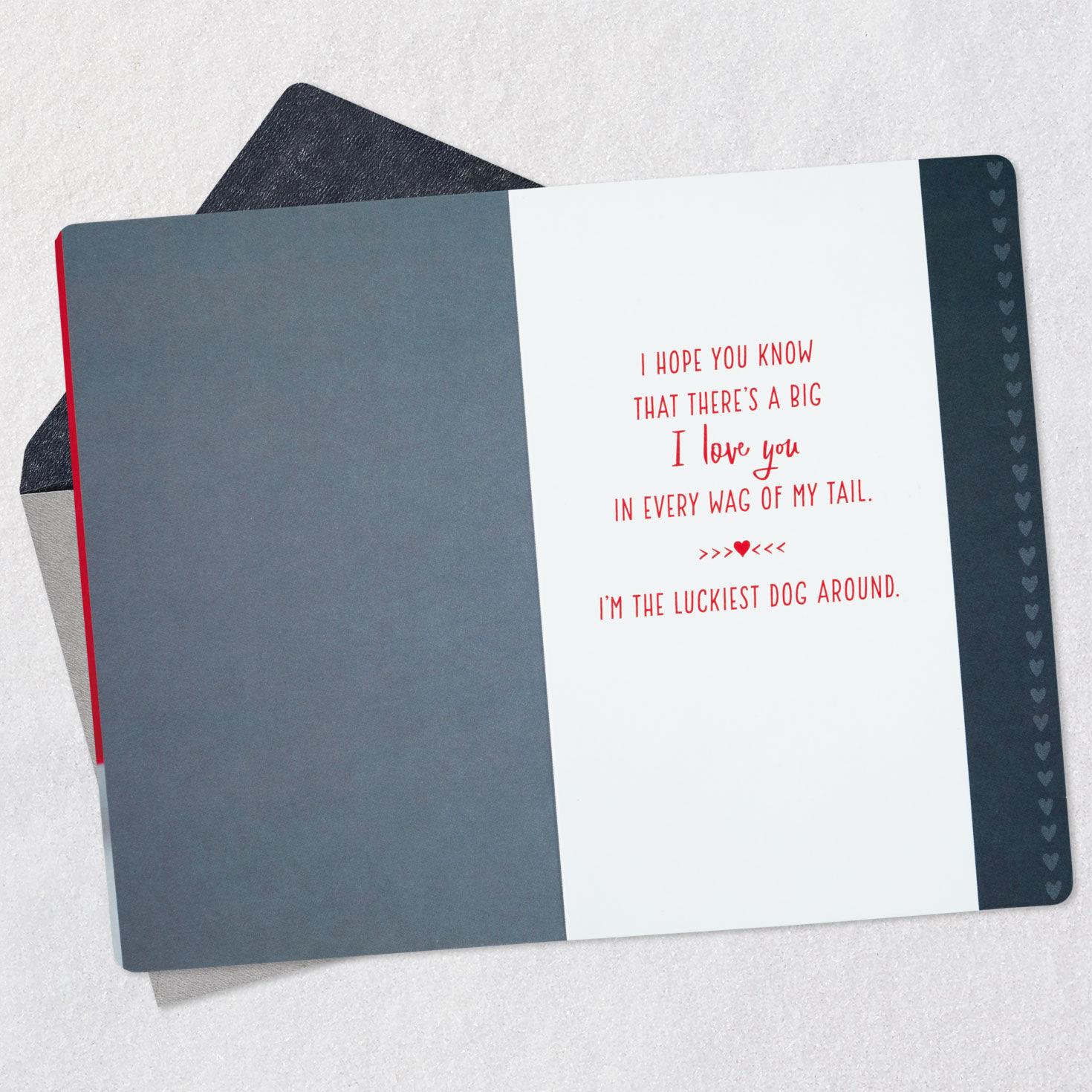 Puppy and Hearts Valentine's Day Card From the Dog Open card with envelope image number 3