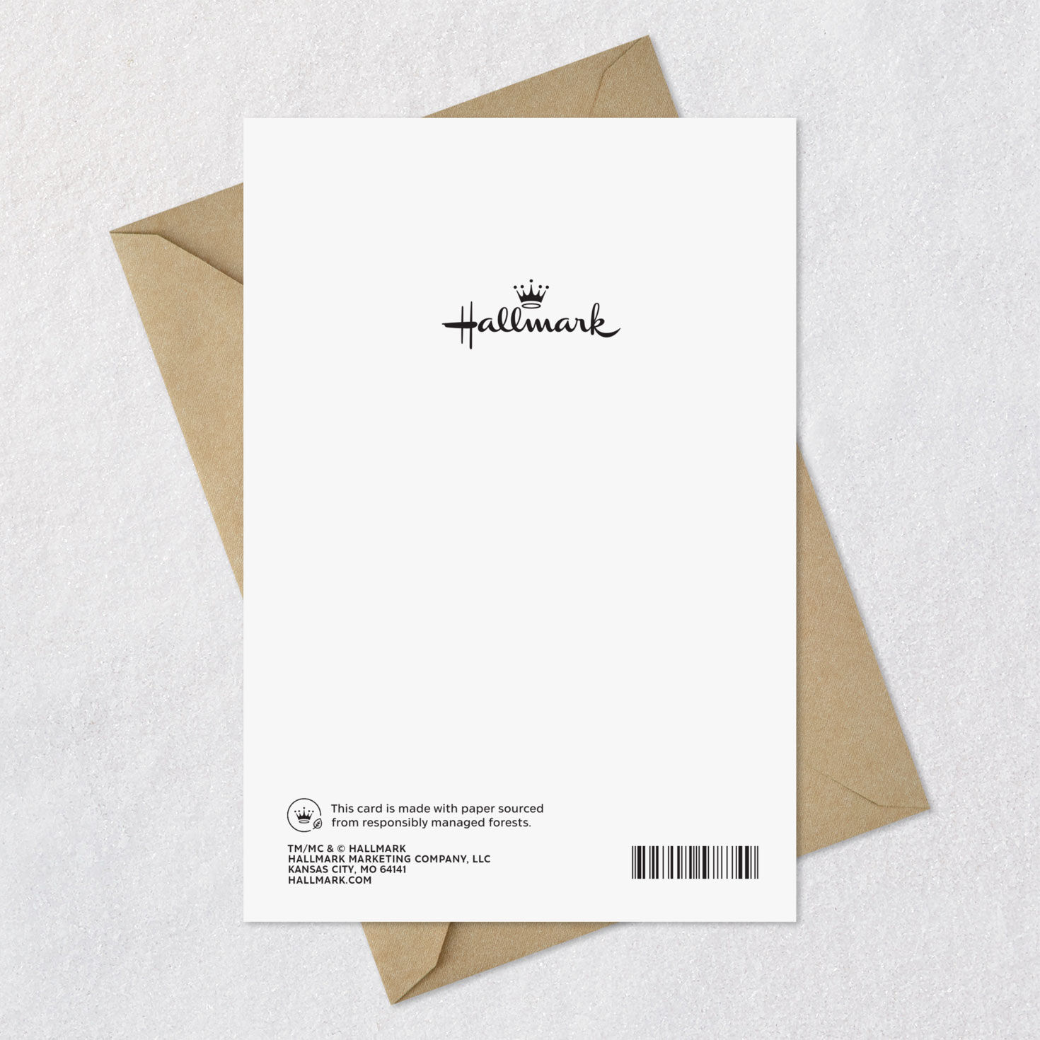 Pumpkin Pie on Check Pattern Thanksgiving Card Card Back with Envelope image number 7
