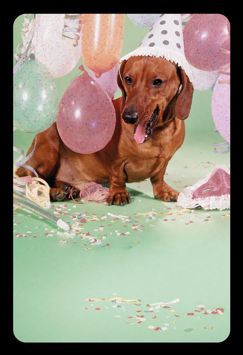 Whatever Makes Your Wiener Happy Funny Birthday Card