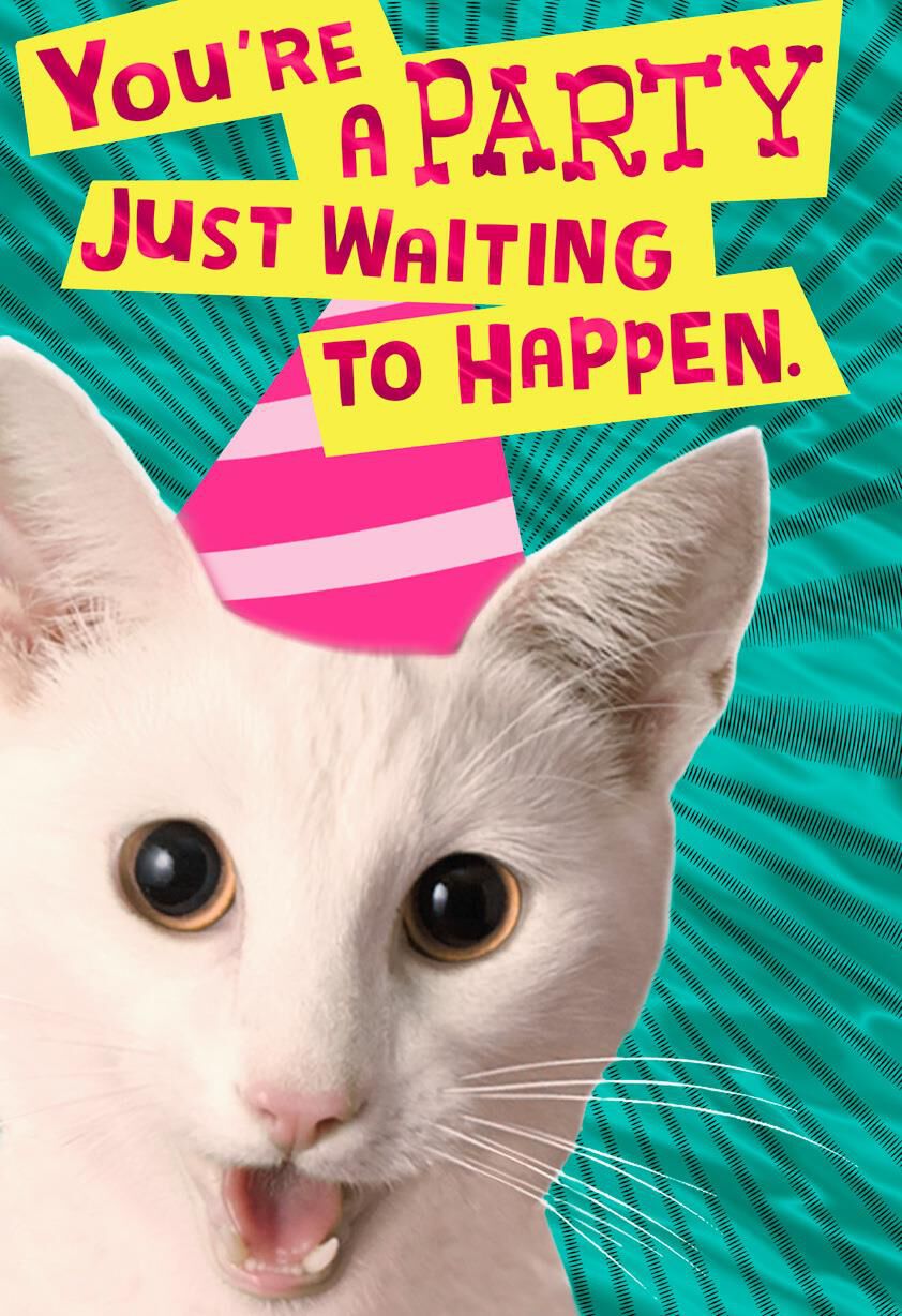 Party Animal Birthday Card
