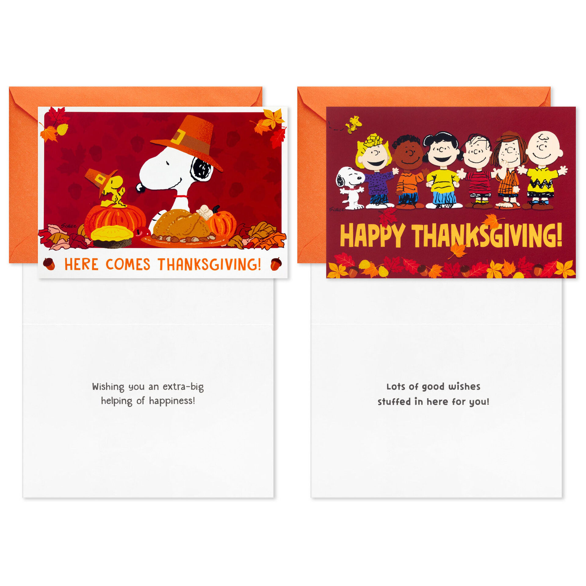 Peanuts® Good Wishes Boxed Thanksgiving Cards Assortment, Pack of 16