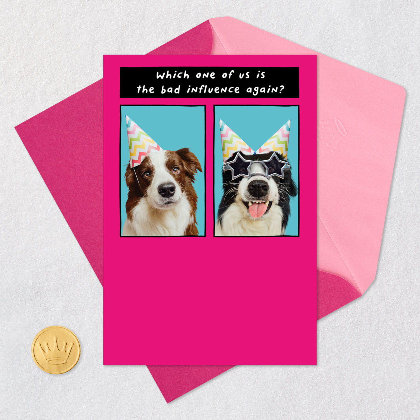 Party Dogs Funny Birthday Card for Sister Card Front with Envelope and Gold Seal image number 5