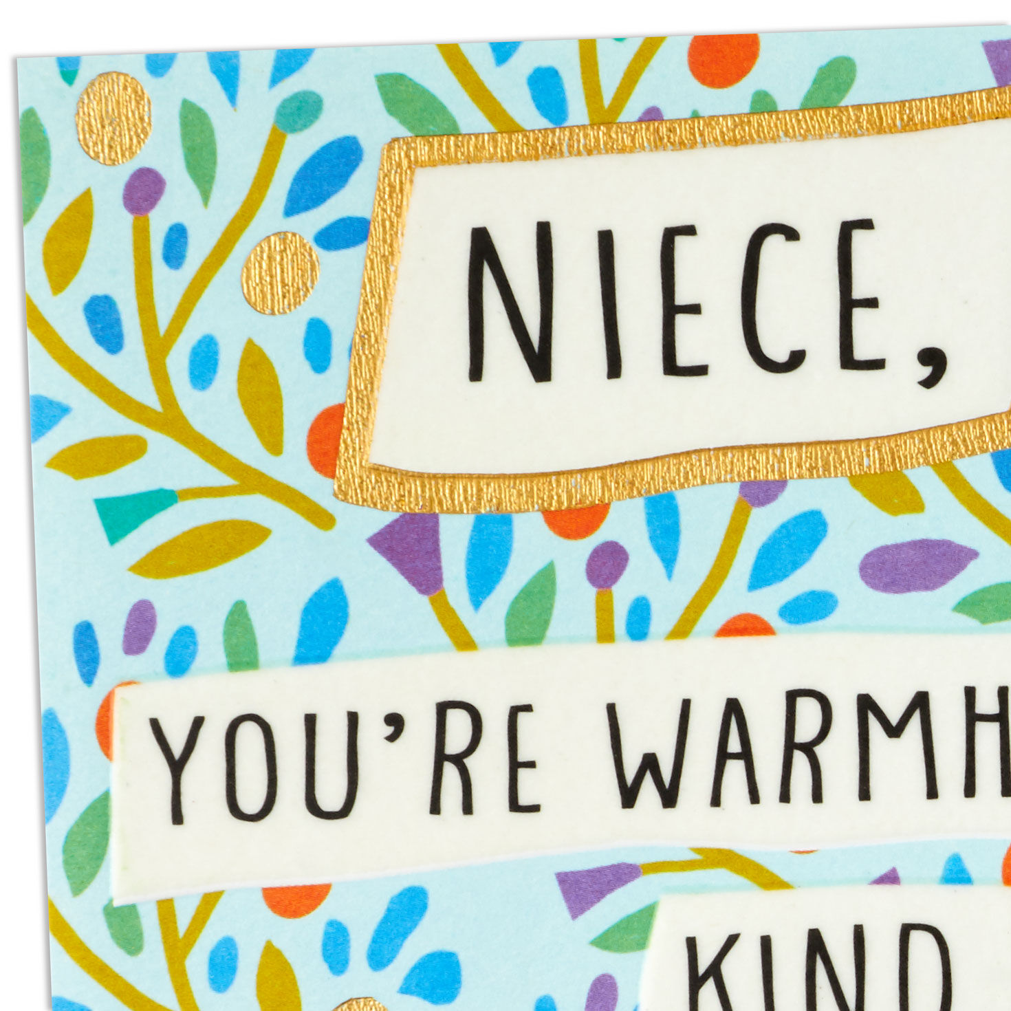 Don't Ever Change Birthday Card for Niece for only USD 5.59 | Hallmark
