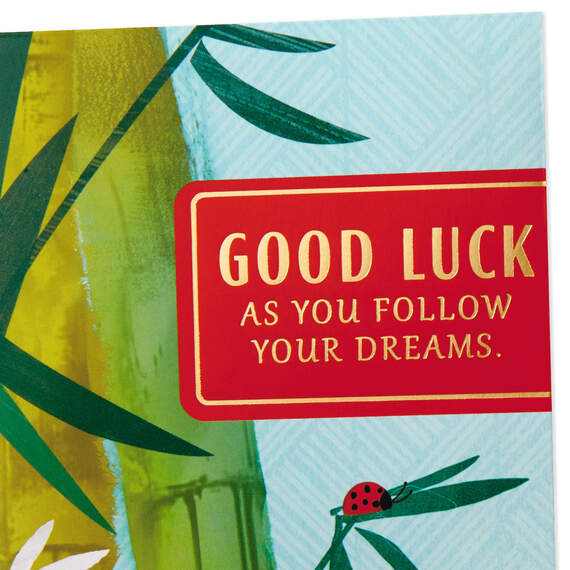 Good Luck Lai See Envelopes, Pack of 8, , large image number 3