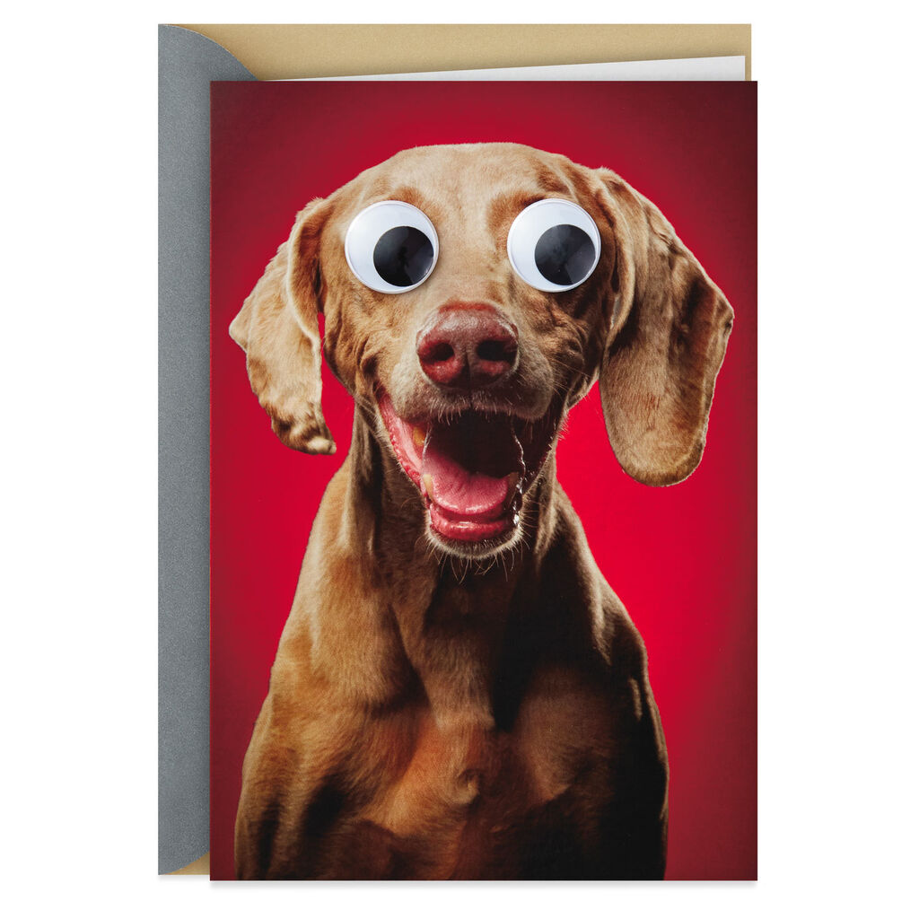 Weimaraner Dog Love You Like Crazy Funny Valentine S Day Card Weimaraner Dog Love You Like Crazy Funny Valentine S Day Card