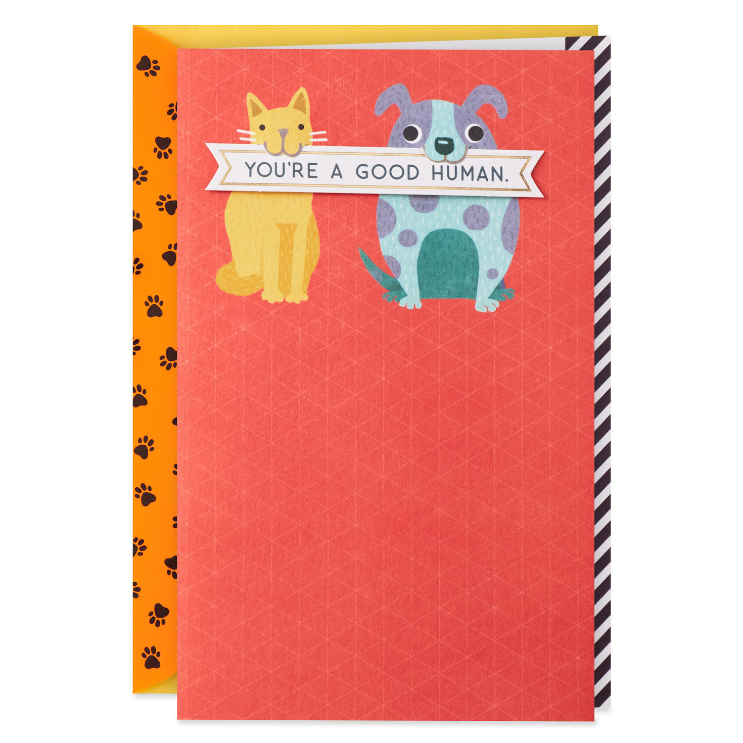 Dog And Cat You Re A Good Human Thank You Card Greeting Cards