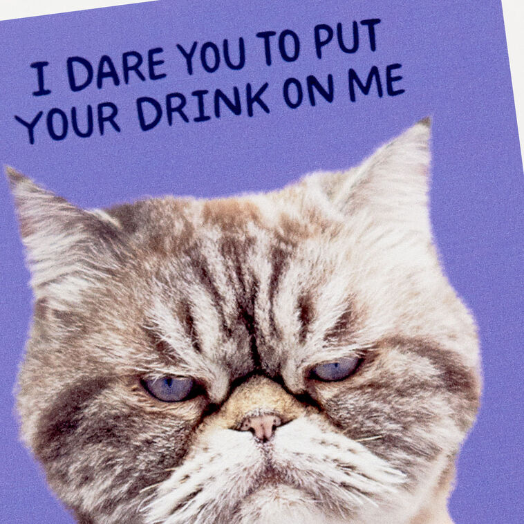 Grumpy Kevin The Cat Photo Funny Coaster Kitchen Accessories Hallmark Grumpy kevin the cat photo funny coaster kitchen accessories hallmark