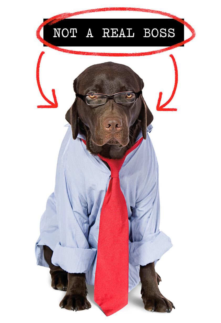 Dog in Tie Funny Boss's Day Card