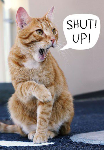Shut Up! Funny Birthday Card