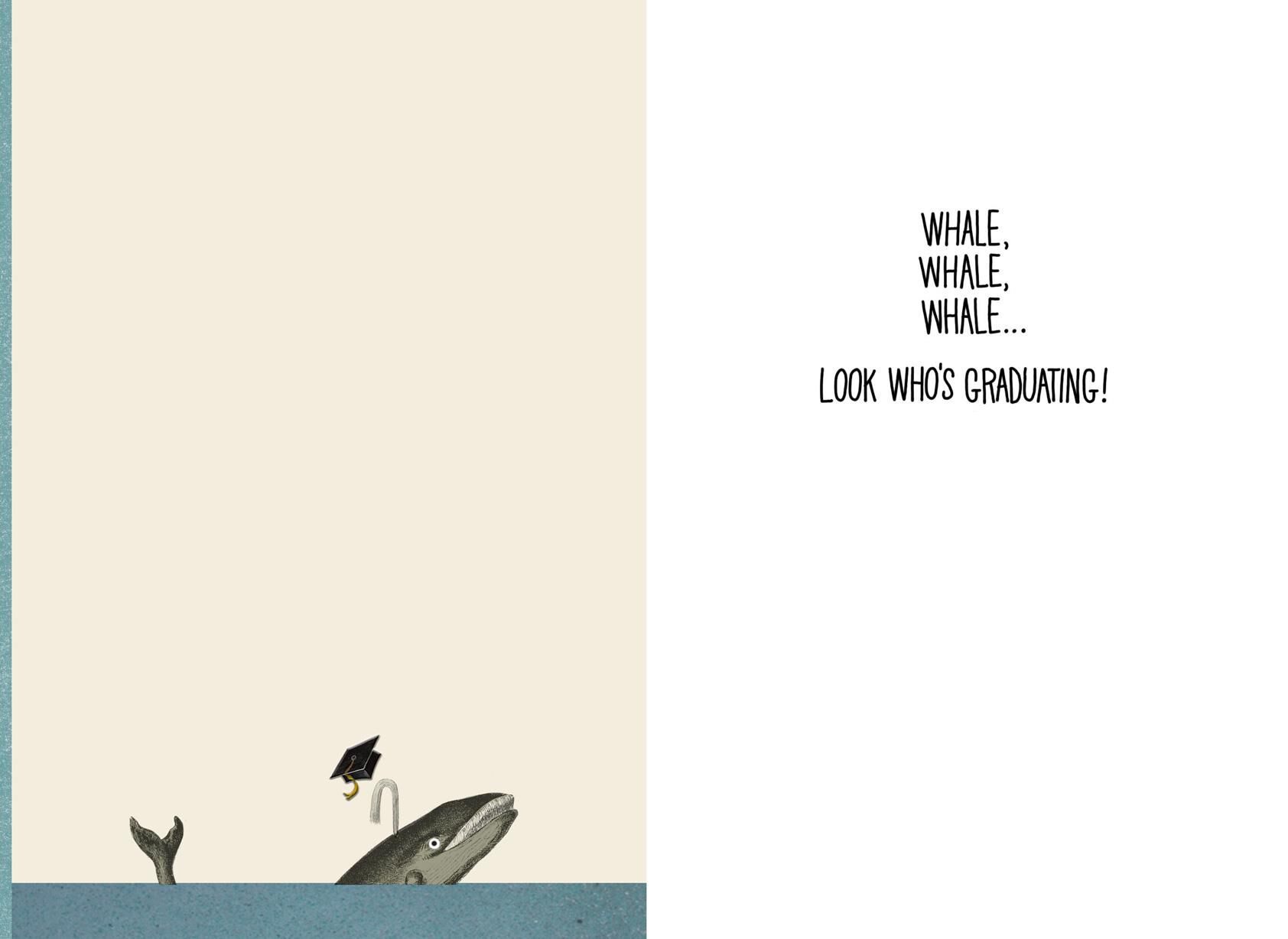 Whale, Whale, Whale Funny Graduation Card
