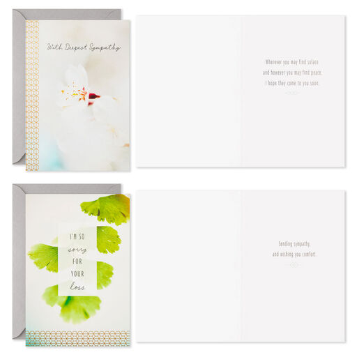 Serene Photo Assortment Sympathy Cards, Pack of 16, 