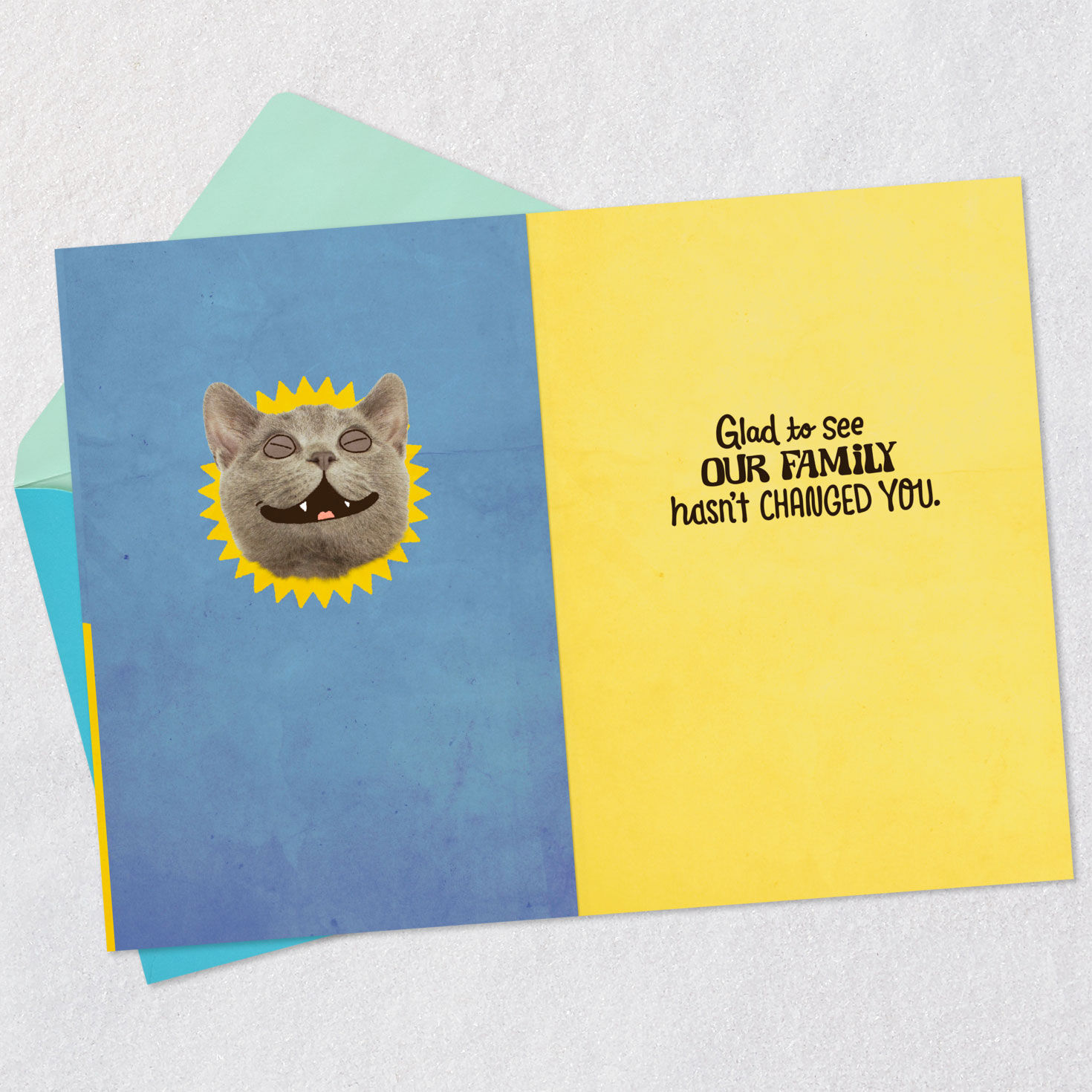 Glad Our Family Hasn't Changed You Funny Birthday Card for Son-in-Law for only USD 2.99 | Hallmark