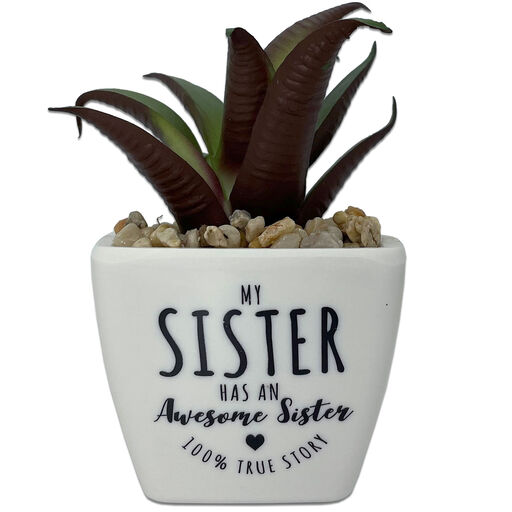 Faux Potted Succulent With Sister Message, 
