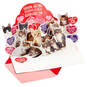 Truly Adorable Cats Funny Pop-Up Valentine's Day Card, , large image number 1