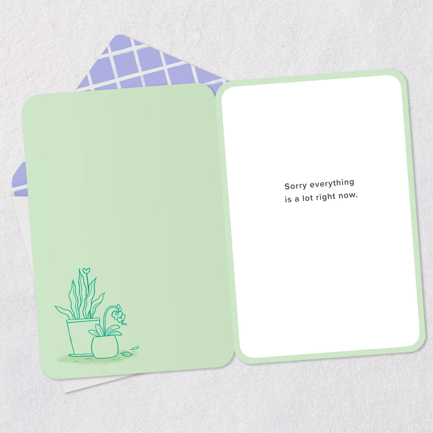 Succulent Plant in Broken Pot Encouragement Card Open card with envelope image number 3