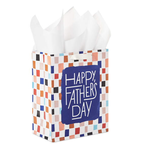 9.6" Colorful Checkerboard Medium Father's Day Gift Bag With Tissue Paper