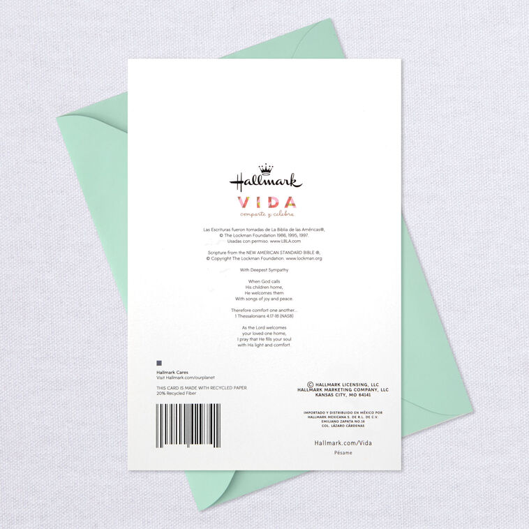 Light and Comfort Spanish-Language Religious Sympathy Card, , large image number 8