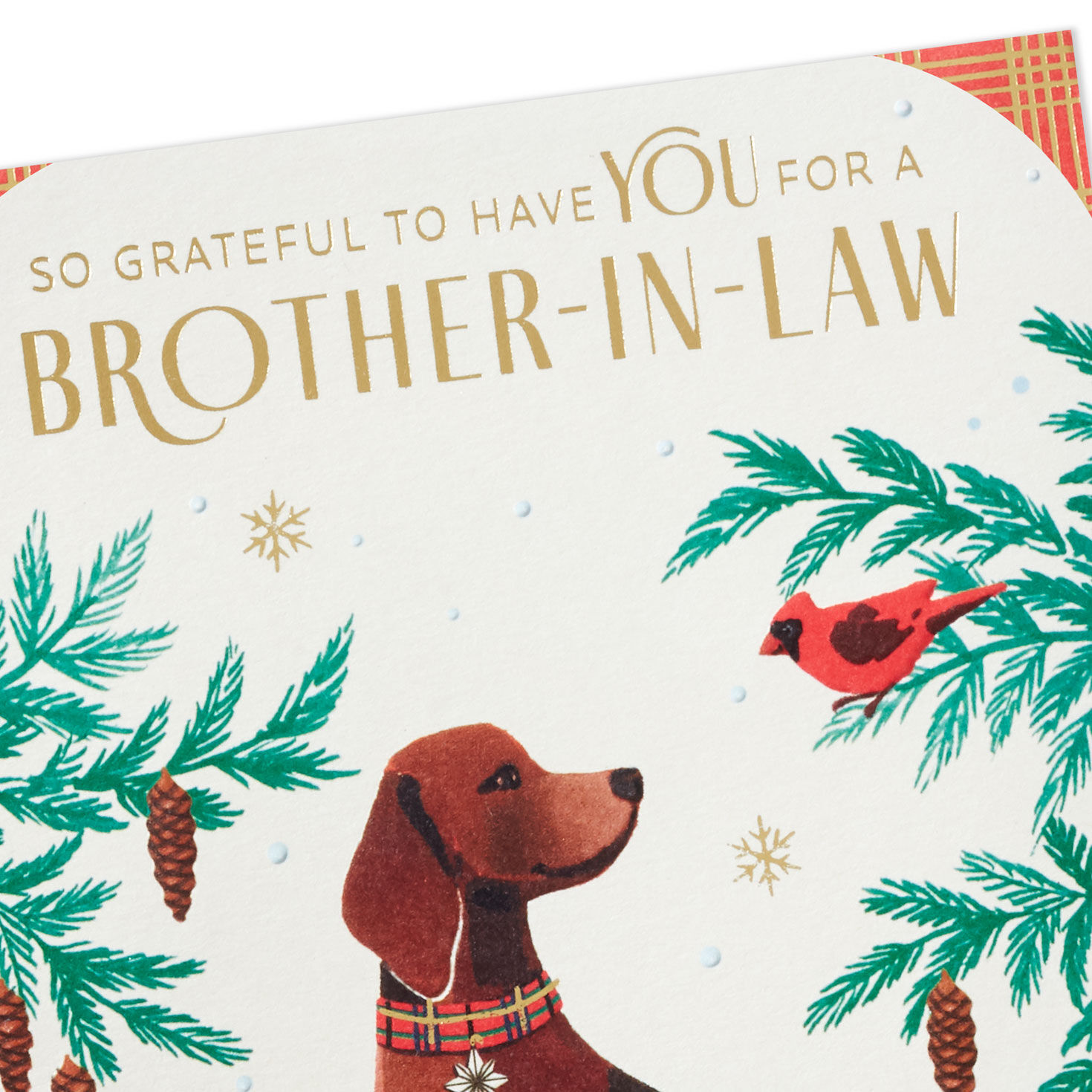 Dog and Cardinal Brother-in-Law Christmas Card Card Front Detail image number 4