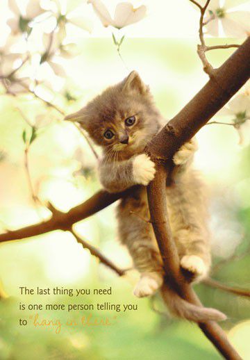 Hang in There Religious Encouragement Card
