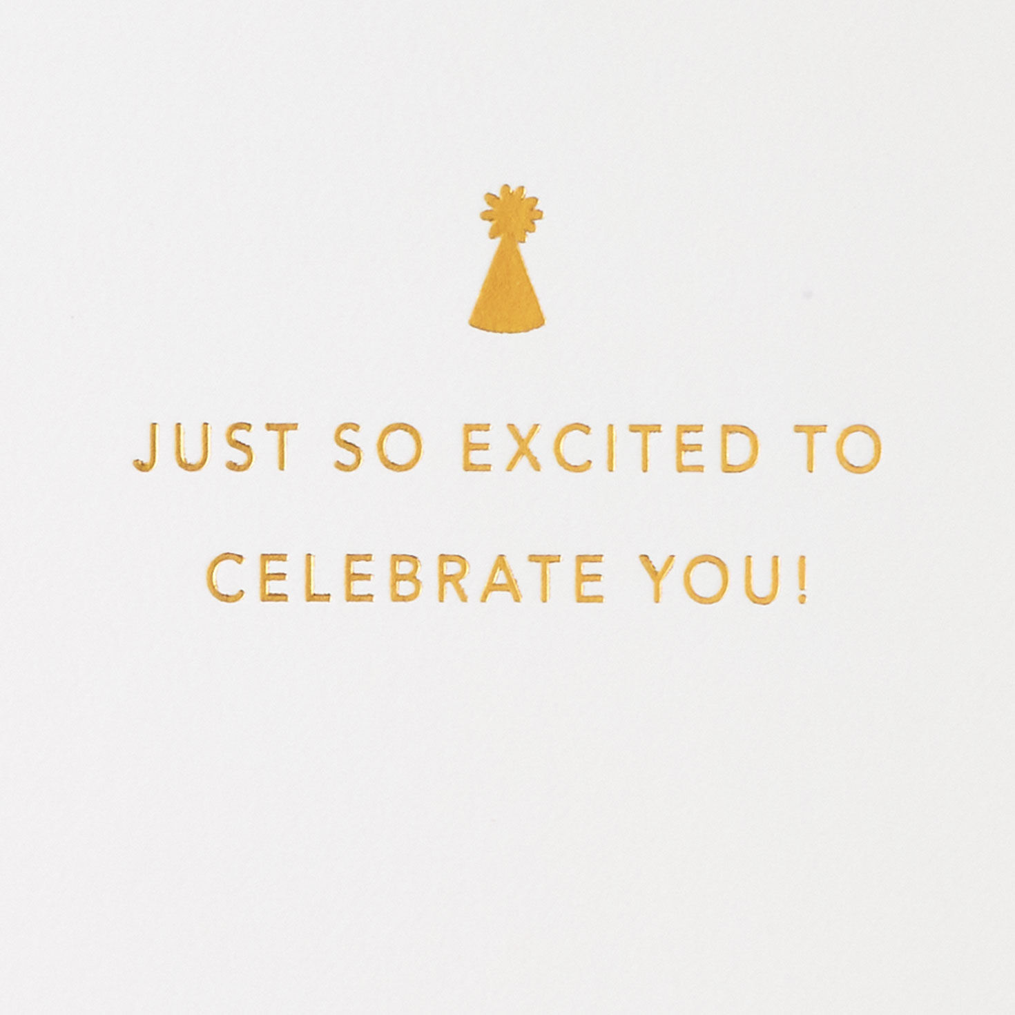 Cartoon Capybara with Balloons Birthday Card Sentiment image number 2